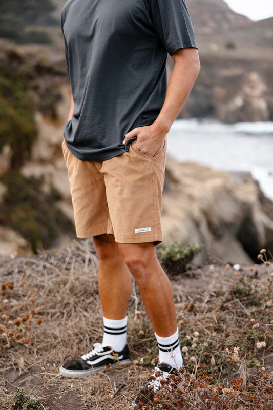 Playa Short in Saddle Brown